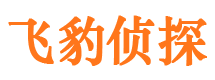 宿松市婚外情调查